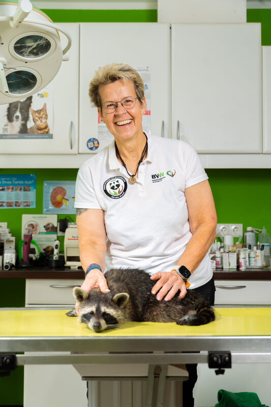 Biologisches Popultationsmanagememt Waschbären Kassel